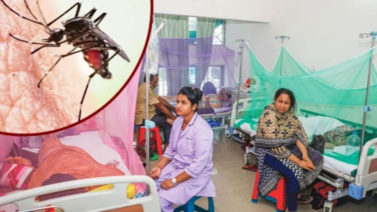 ডেঙ্গু আক্রান্ত হয়ে একজনের মৃত্যু, হাসপাতালে ভর্তি ১৩৯